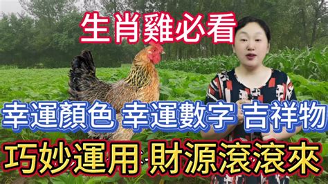 屬雞的幸運數字|12生肖「幸運數字」曝光！專家：掌握好一生富貴